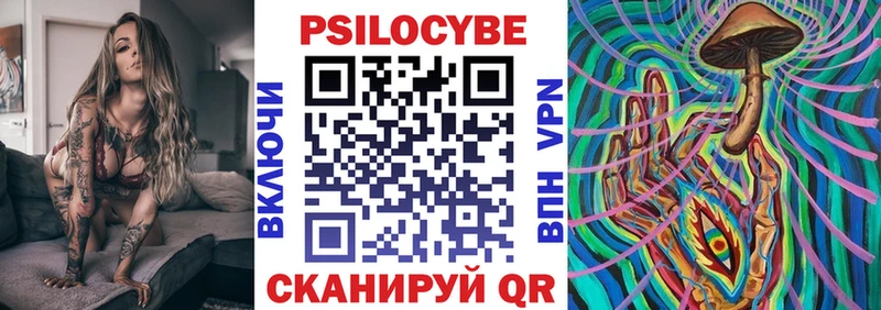 blacksprut как зайти  Карачев  Псилоцибиновые грибы мицелий 